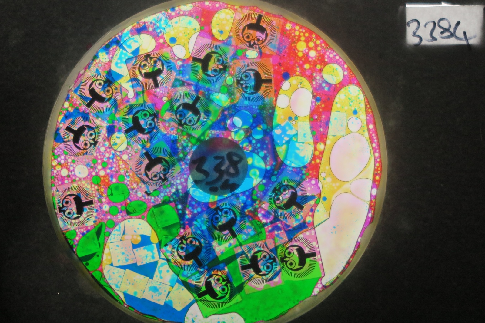 BV3384 bubble vision oil wheel